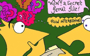 Wild Forest Adventure Online Games - Ferals