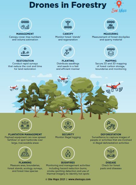 Drones in forestry infographic capture