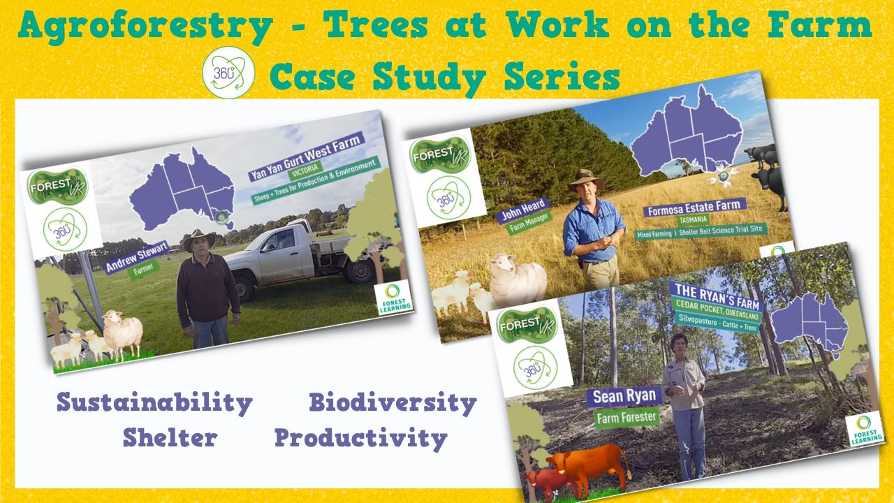 agroforestry vr thumb