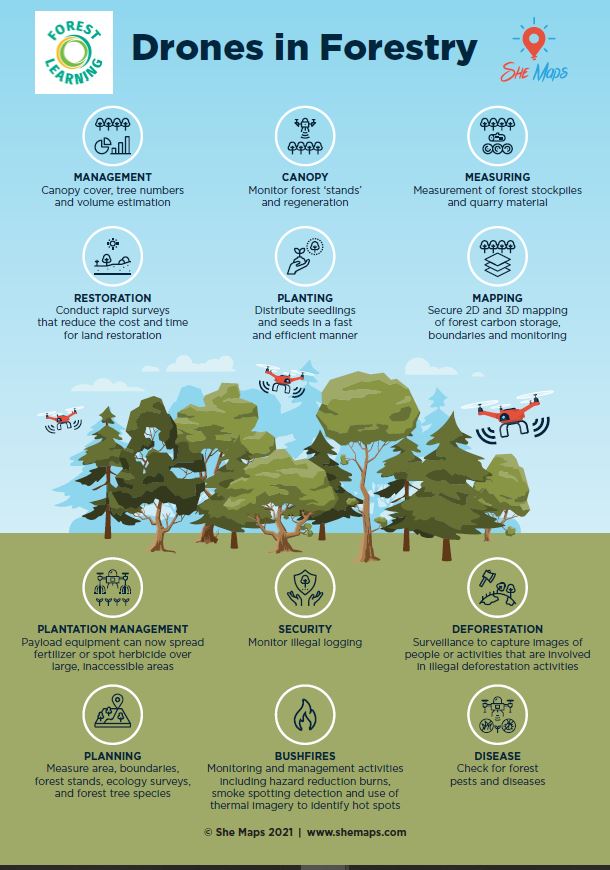 drones in forestry web