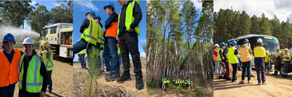 forestry tour ccc