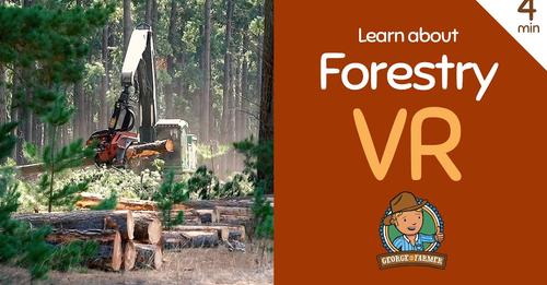 forestry vr image