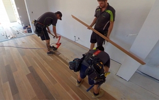 Spotted Gum - Forest to Fine Flooring