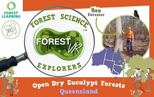 Forest Science Explorers - Dry Open Eucalypt Forests: Queensland