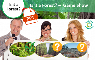 Is it a Forest? – Gameshow