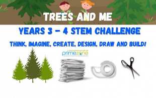 STEM Challenge ‘Trees and Me’ – Years 3/4