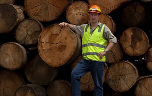 Going Bush - Tracing the power poles back to North East Tasmania’s forests