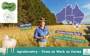 Agroforestry – Formosa Farm Estate: Tasmania Mixed Farming  | Shelter Belt Science Trial Site