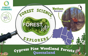 Forest Science Explorers - Cypress Pine Woodland Forests: Queensland