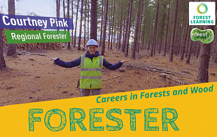 Grow a Career as a Forester