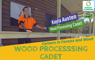 Grow a Career as a Wood Processing Cadet