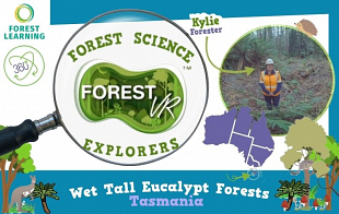 Forest Science Explorers – Wet Tall Eucalypt Forests: Tasmania