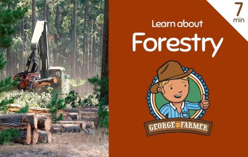 George The Farmer Forestry Video