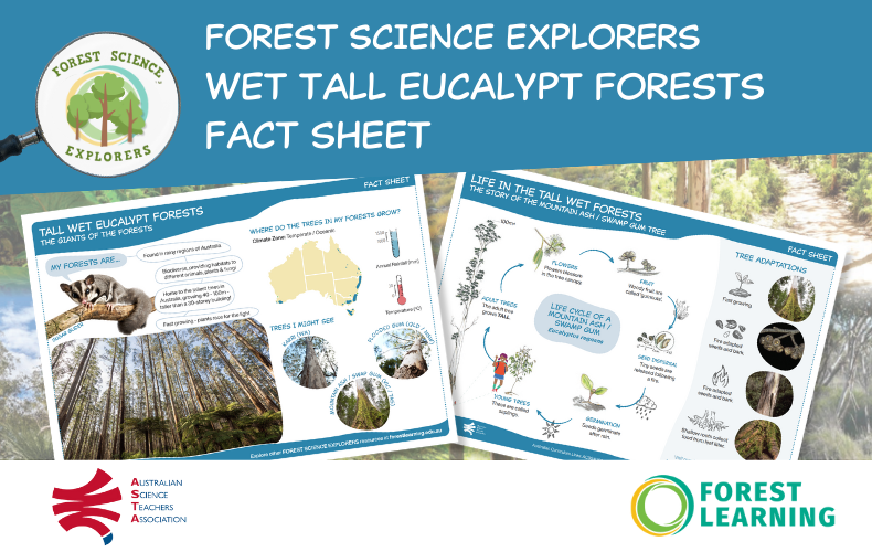 Forest Science Explorers - Wet Tall Eucalypt Forest - Fact Sheet