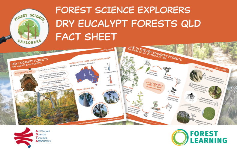 Forest Science Explorers – Dry Open Eucalypt Forest: Queensland – Fact Sheet