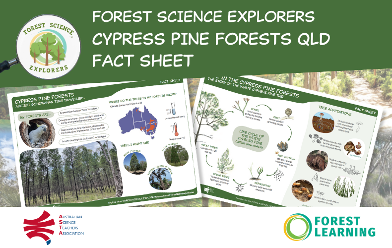 Forest Science Explorers - Cypress Pine Woodland Forests: Queensland - Fact Sheet