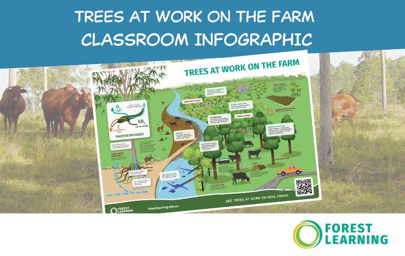 Trees at Work on the Farm - Infographic